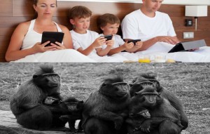 Sozialverhalten bei Menschen und Affen